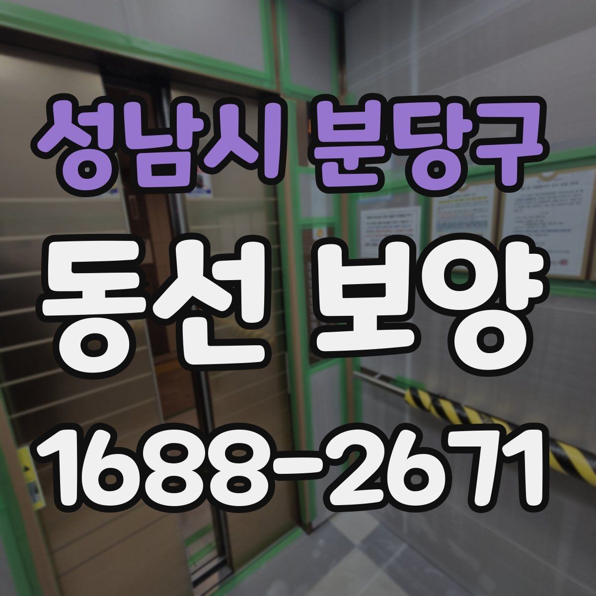 성남시 분당구 동선 보양 작업을 안전하게 진행하는 방법
