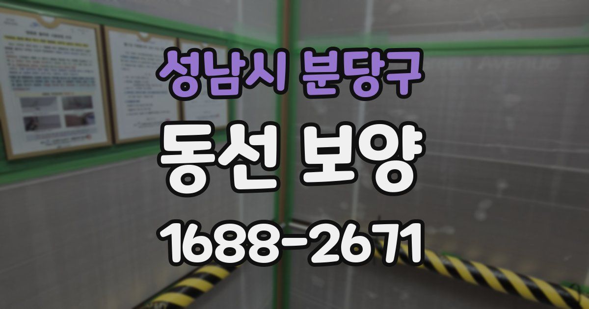 성남시 분당구 동선 보양