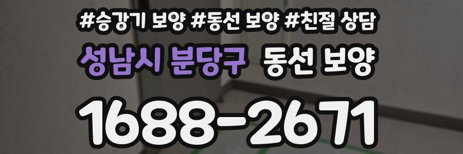 성남시 분당구 동선 보양