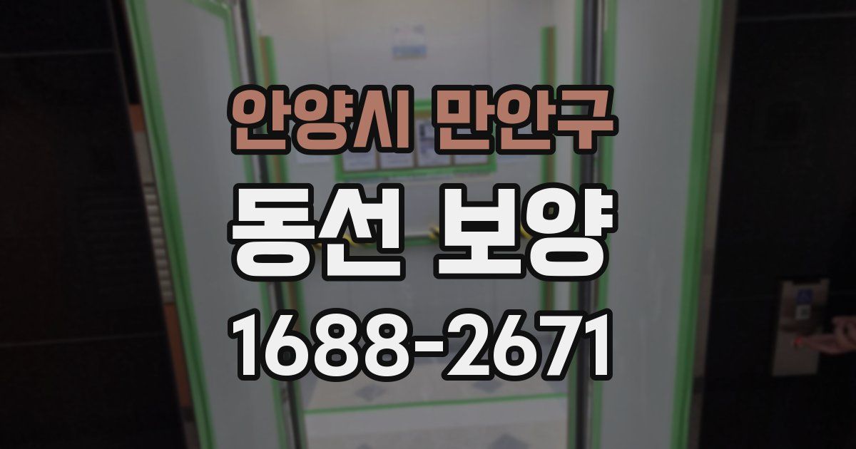 안양시 만안구 동선 보양