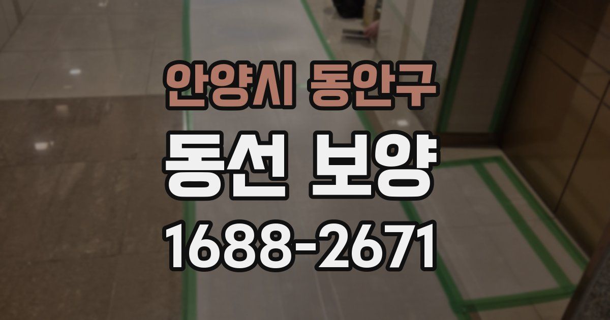 안양시 동안구 동선 보양
