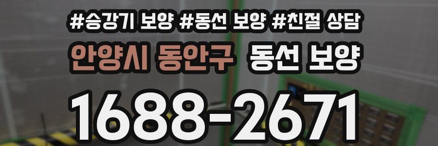 안양시 동안구 동선 보양