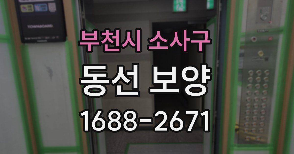 부천시 소사구 동선 보양
