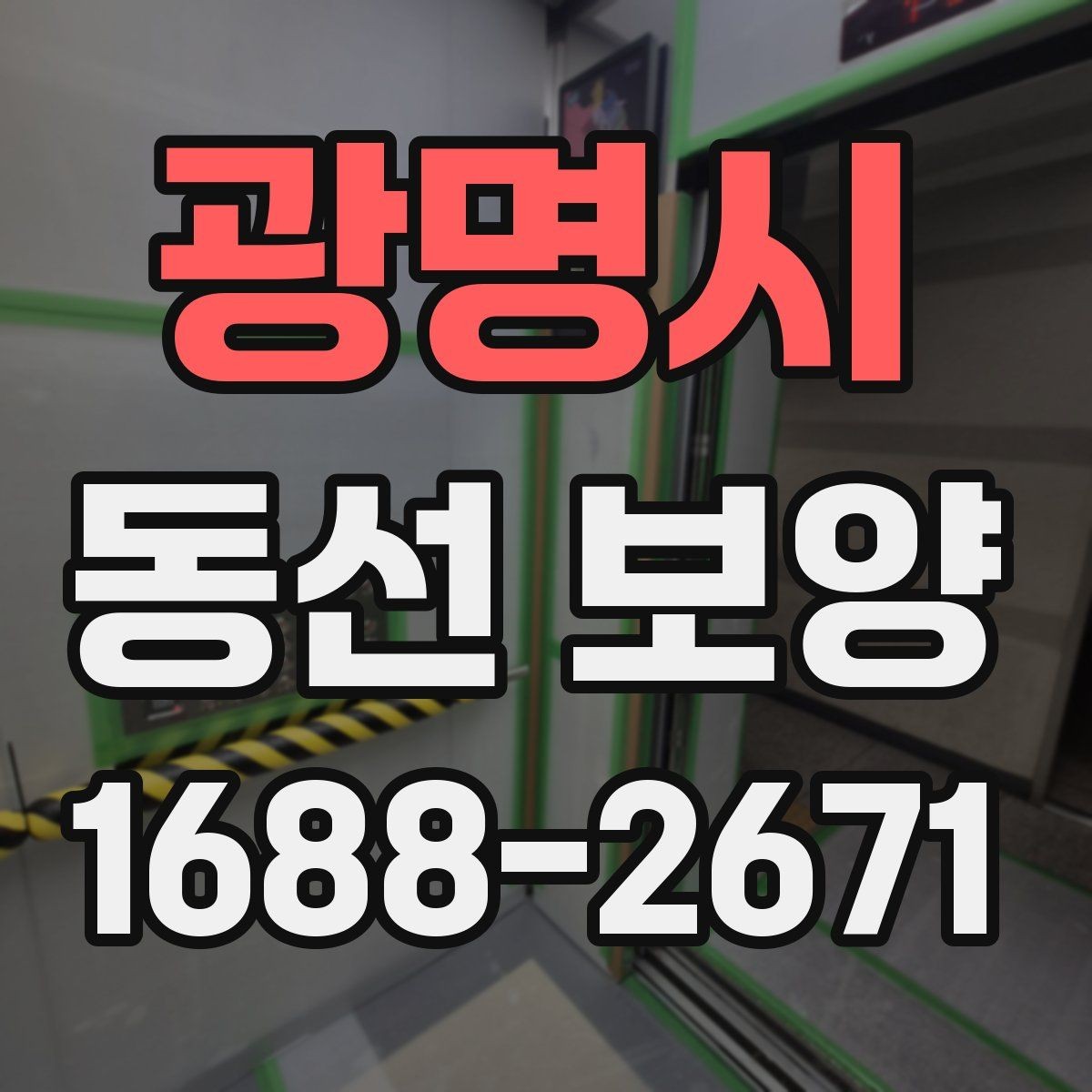 광명시 동선 보양 적용 범위를 정하는 실무 기준