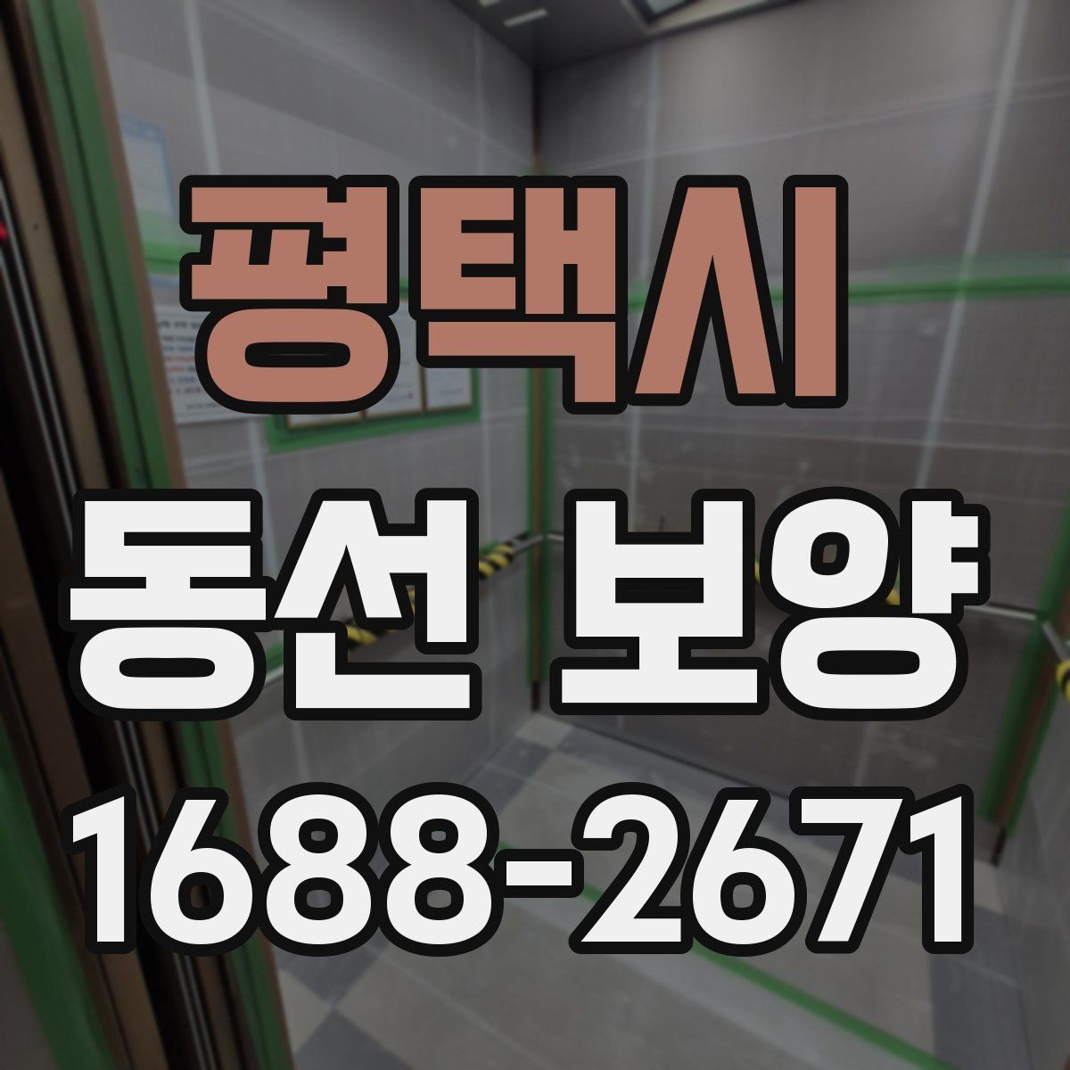 평택시 동선 보양 적용 시기와 적절한 타이밍