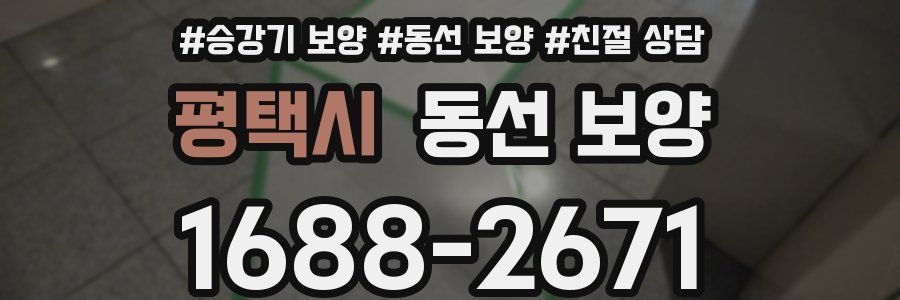 평택시 동선 보양