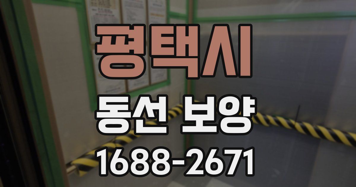 평택시 동선 보양