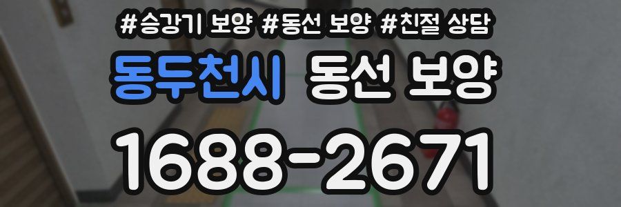 동두천시 동선 보양