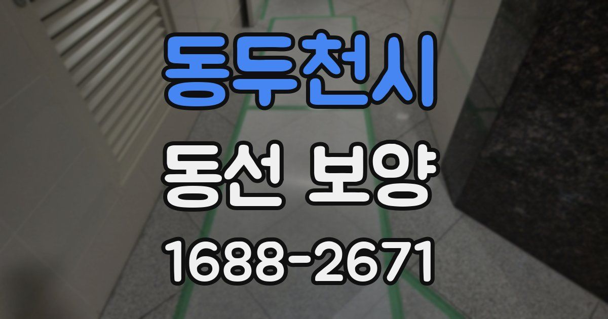 동두천시 동선 보양
