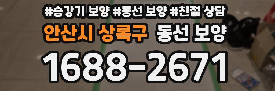 안산시 상록구 동선 보양