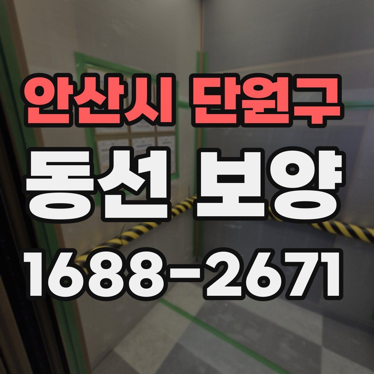 안산시 단원구 동선 보양 후 정리까지 고려해야 하는 이유