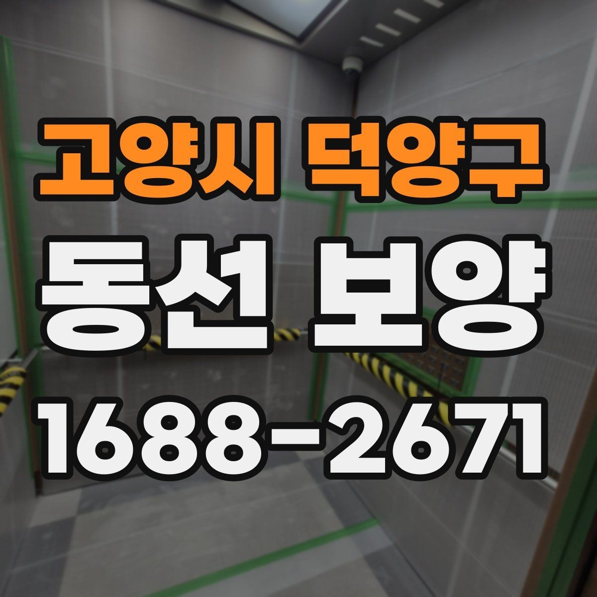 고양시 덕양구 동선 보양 비용과 품질의 균형 잡기
