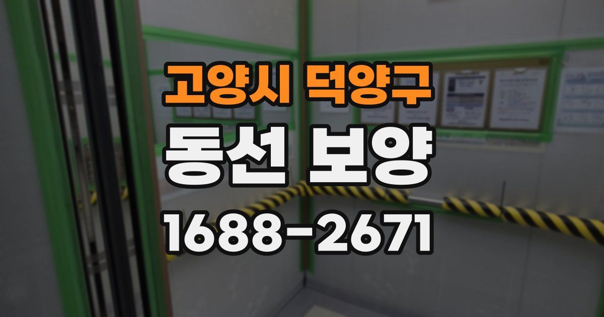 고양시 덕양구 동선 보양