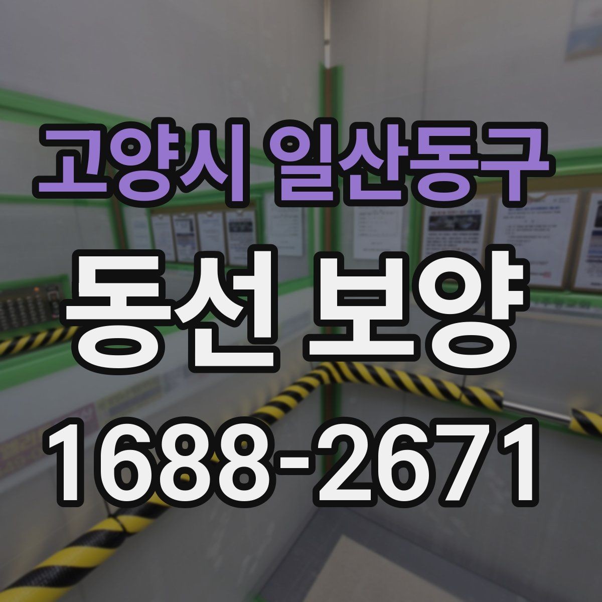 고양시 일산동구 동선 보양 작업 시간은 어떻게 정해질까