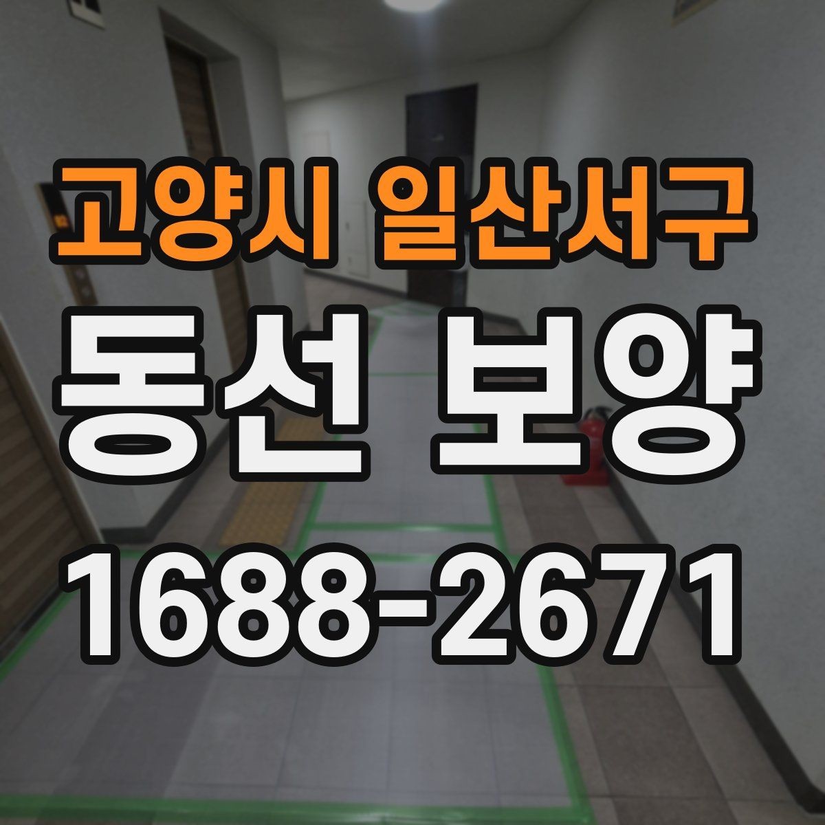 고양시 일산서구 동선 보양 업체를 볼 때 확인할 기준