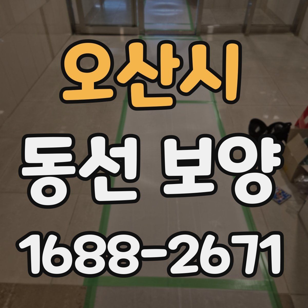 오산시 동선 보양 작업 후 관리 방법 안내