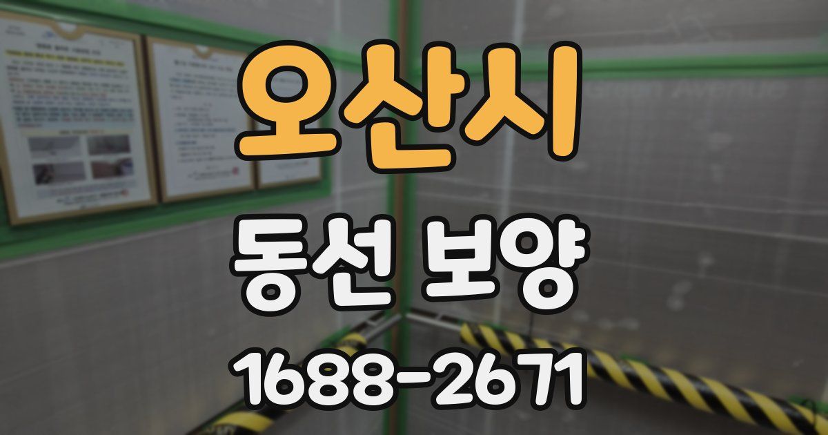 오산시 동선 보양