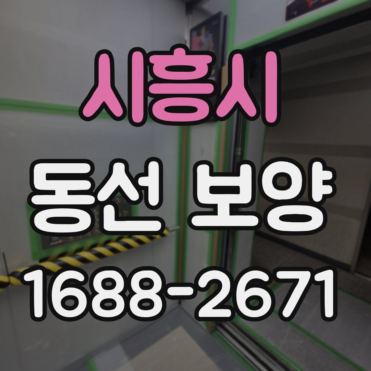시흥시 동선 보양 비용 견적을 볼 때 확인할 항목