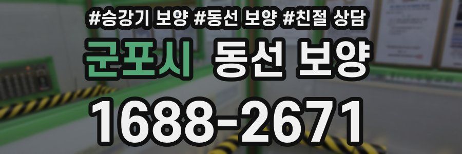 군포시 동선 보양
