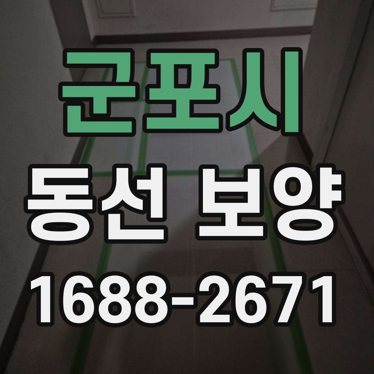 군포시 동선 보양