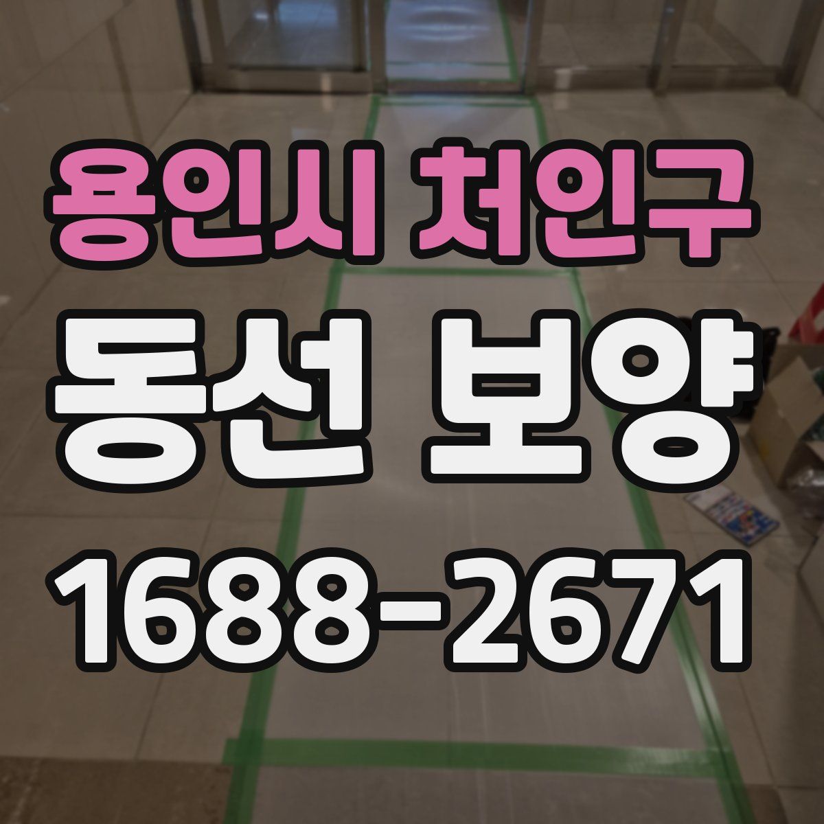 용인시 처인구 동선 보양