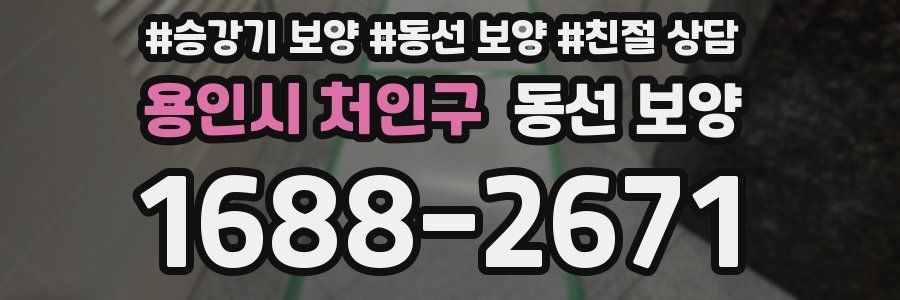 용인시 처인구 동선 보양