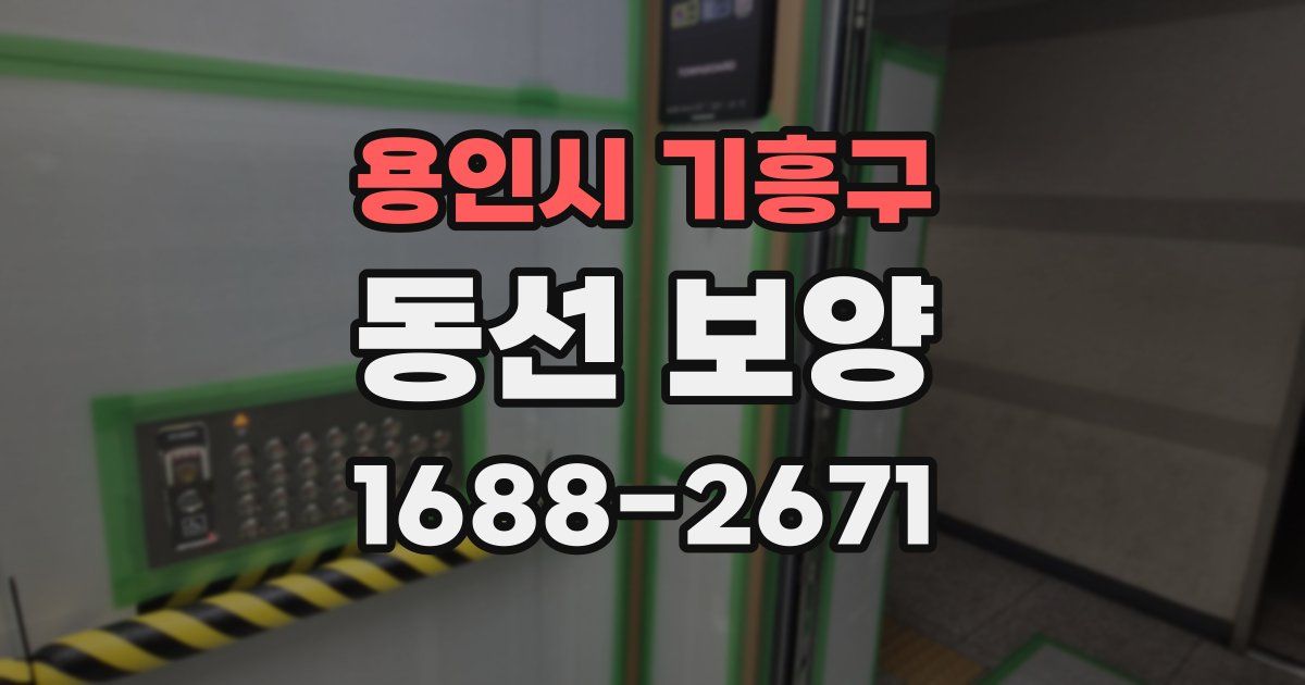 용인시 기흥구 동선 보양