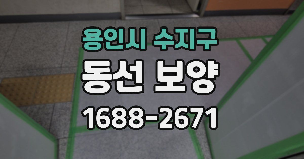 용인시 수지구 동선 보양