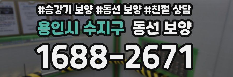 용인시 수지구 동선 보양
