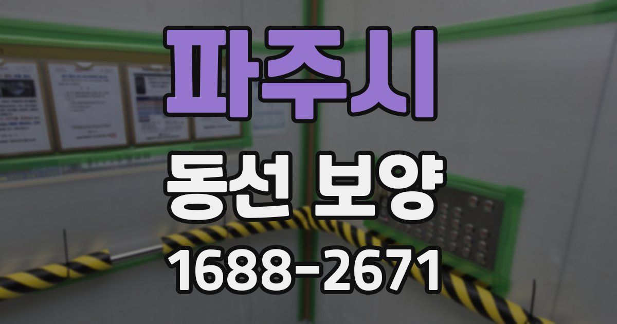 파주시 동선 보양