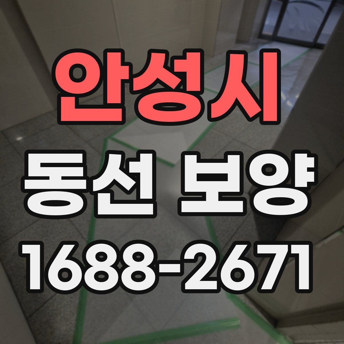 안성시 동선 보양 선택 전 확인하면 좋은 기준