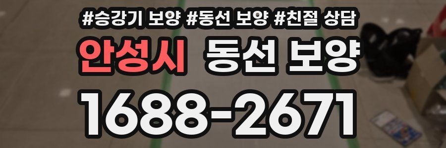 안성시 동선 보양