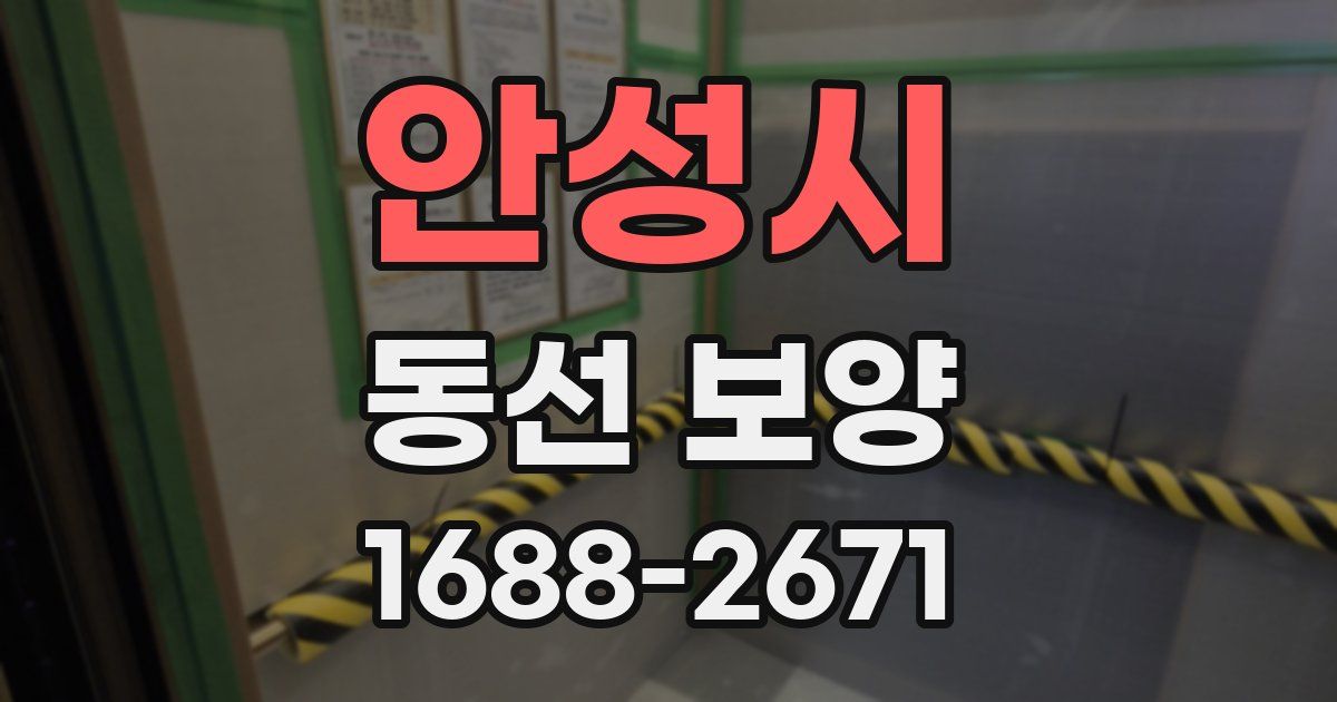 안성시 동선 보양