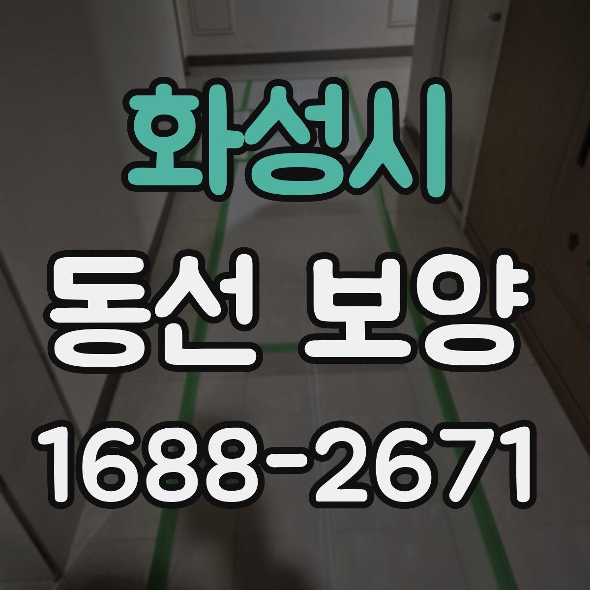 화성시 동선 보양