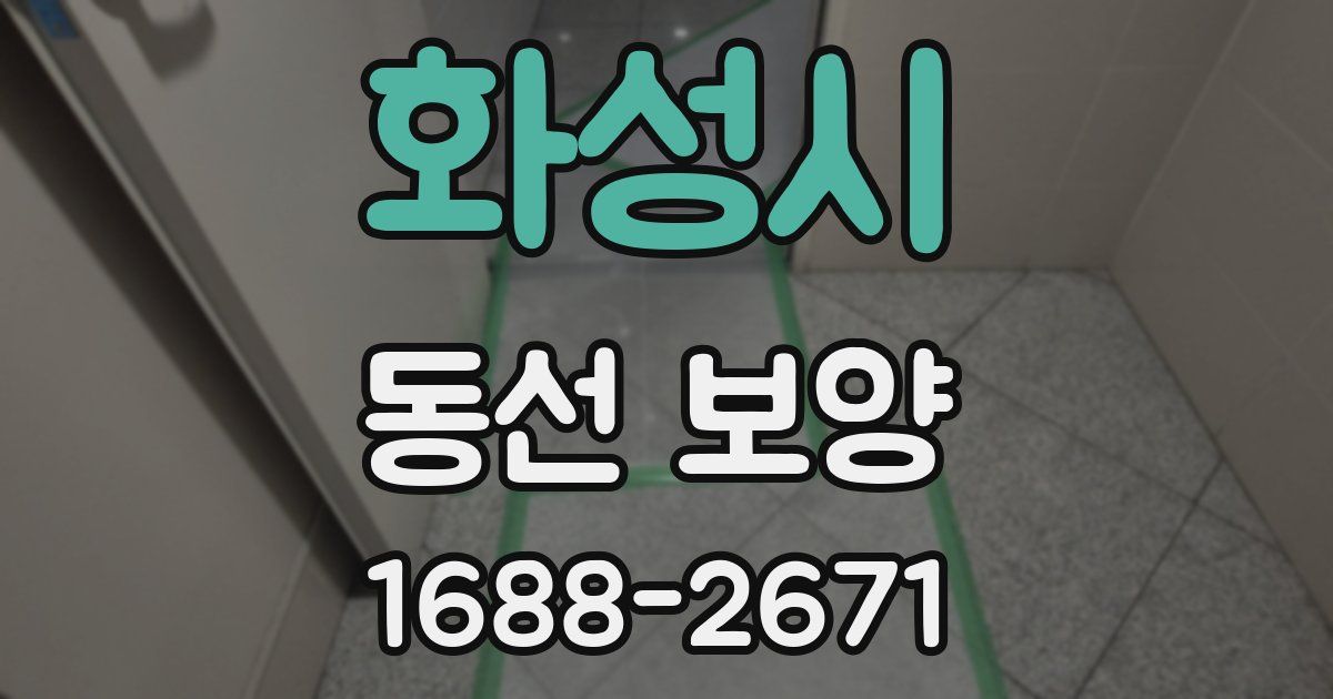 화성시 동선 보양