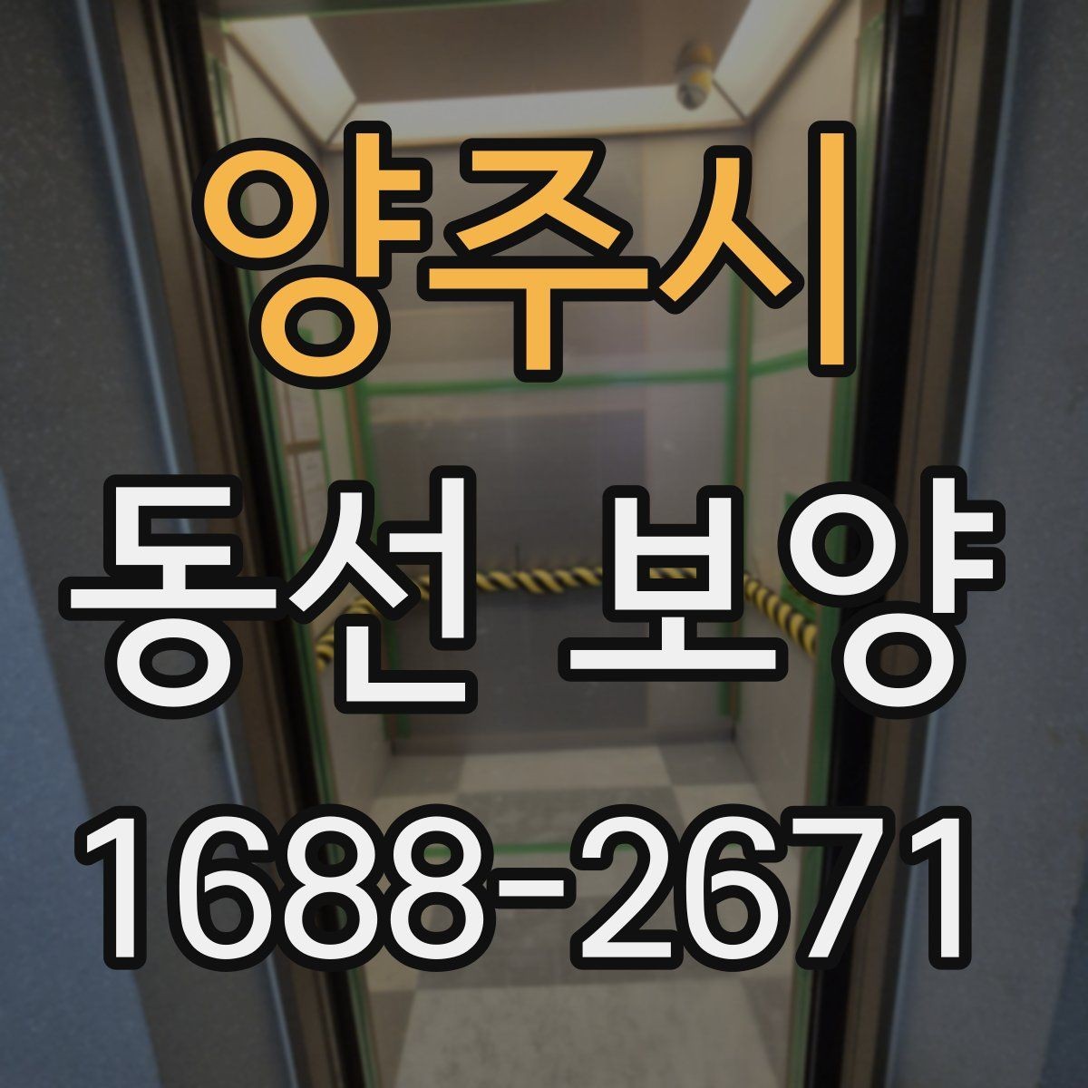 양주시 동선 보양 비용 계산 전에 확인할 부분