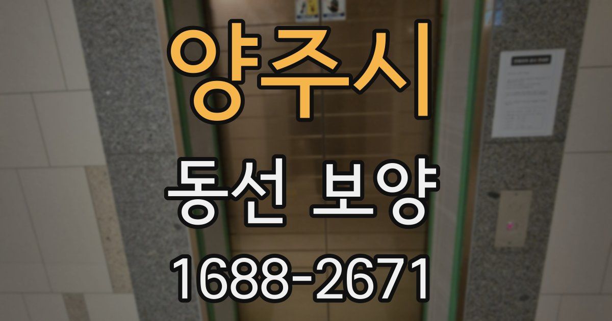 양주시 동선 보양