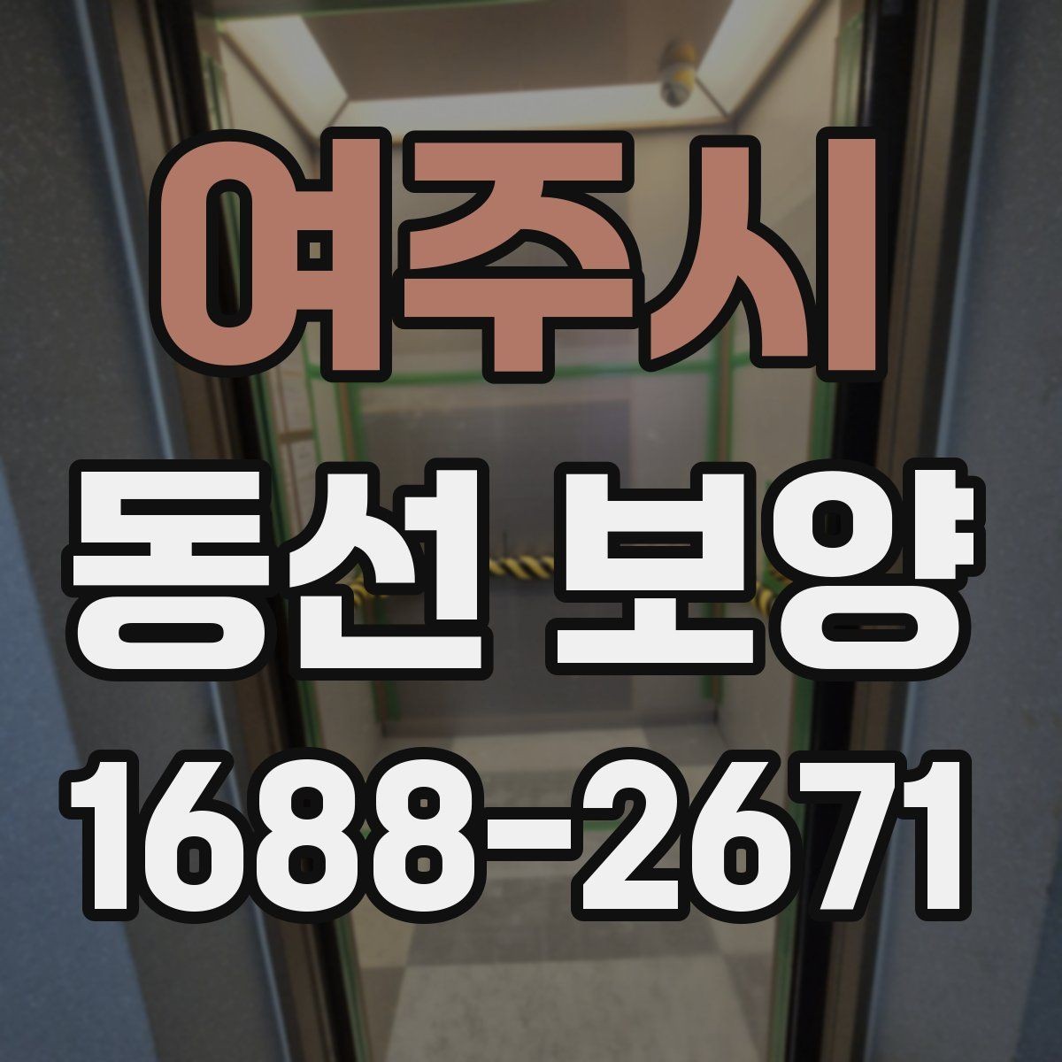 여주시 동선 보양 비용을 줄이기 위한 선택 기준