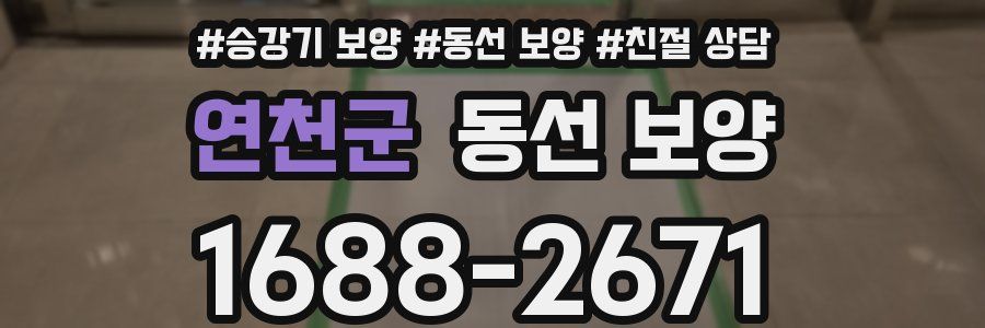 연천군 동선 보양