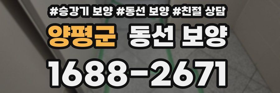 양평군 동선 보양