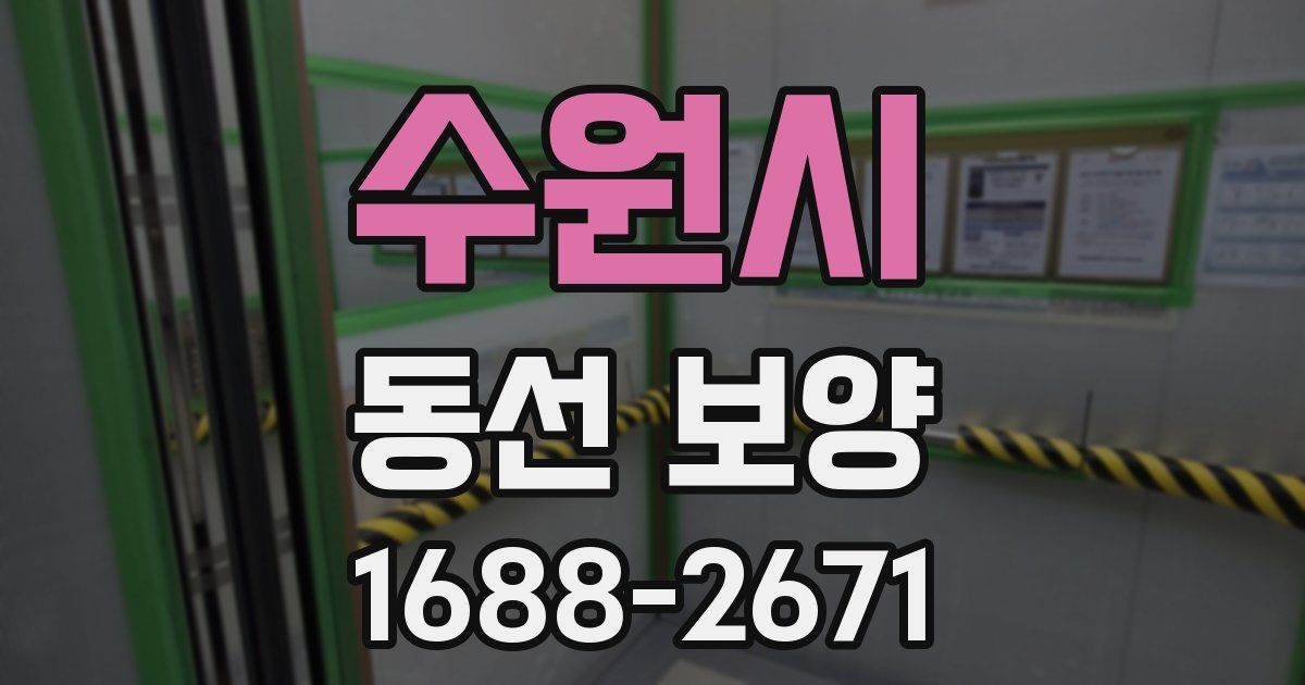 수원시 동선 보양