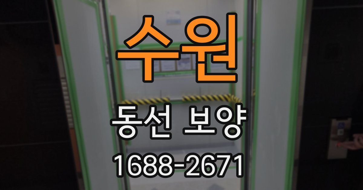 수원 동선 보양