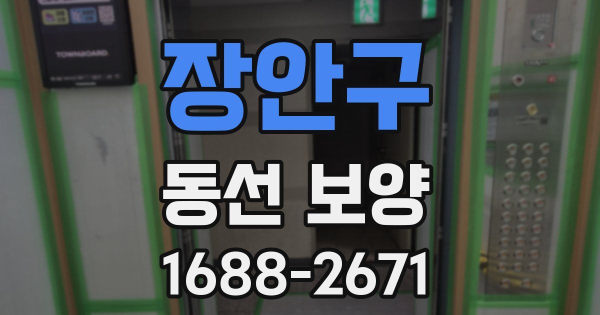 장안구 동선 보양