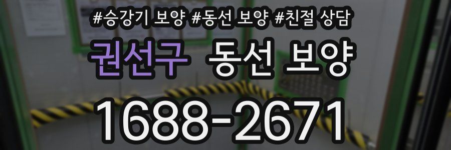 권선구 동선 보양