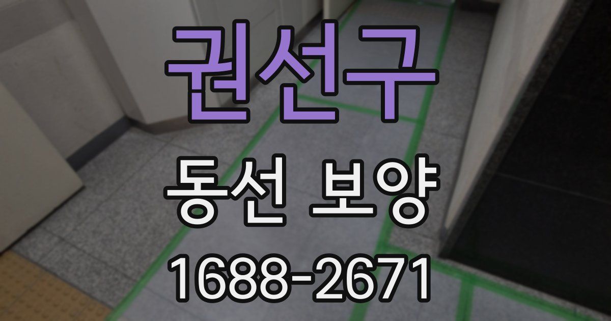 권선구 동선 보양
