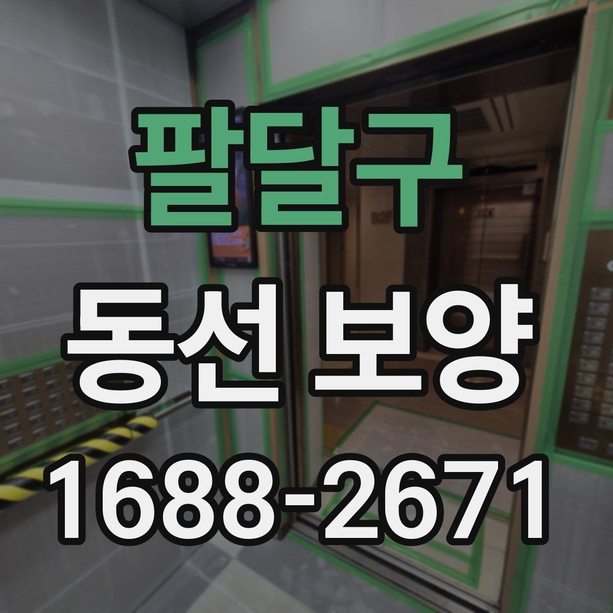 팔달구 동선 보양 진행 시 작업자 간 협업이 중요한 이유