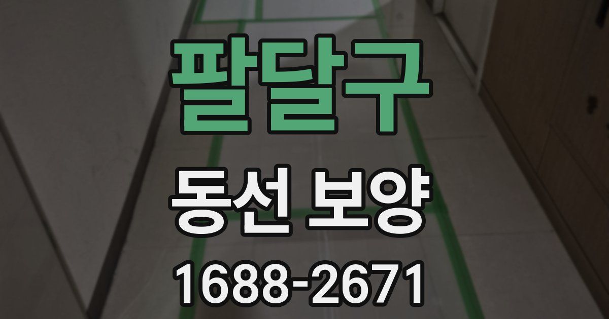 팔달구 동선 보양