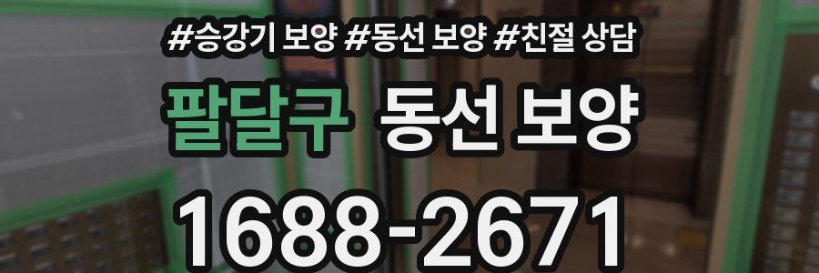 팔달구 동선 보양