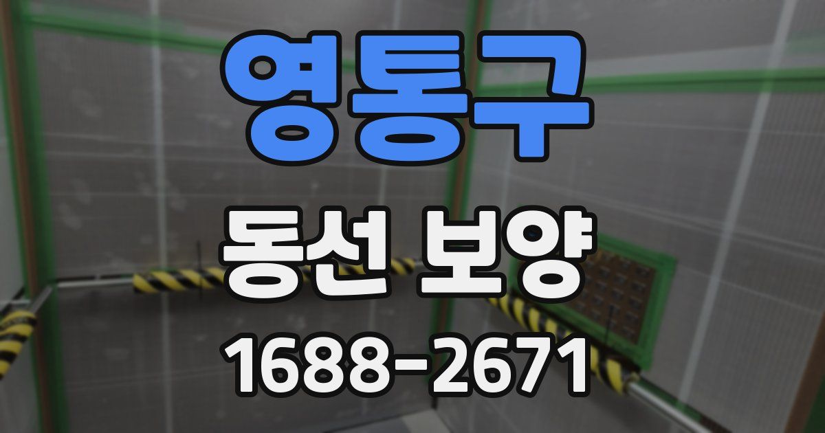 영통구 동선 보양
