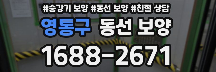 영통구 동선 보양
